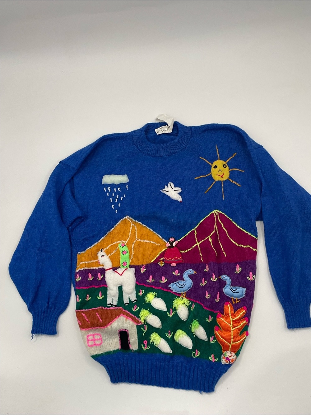 Blue Hand-Embroidered Peruvian Scene 3/4 Sleeve Crewneck Sweater